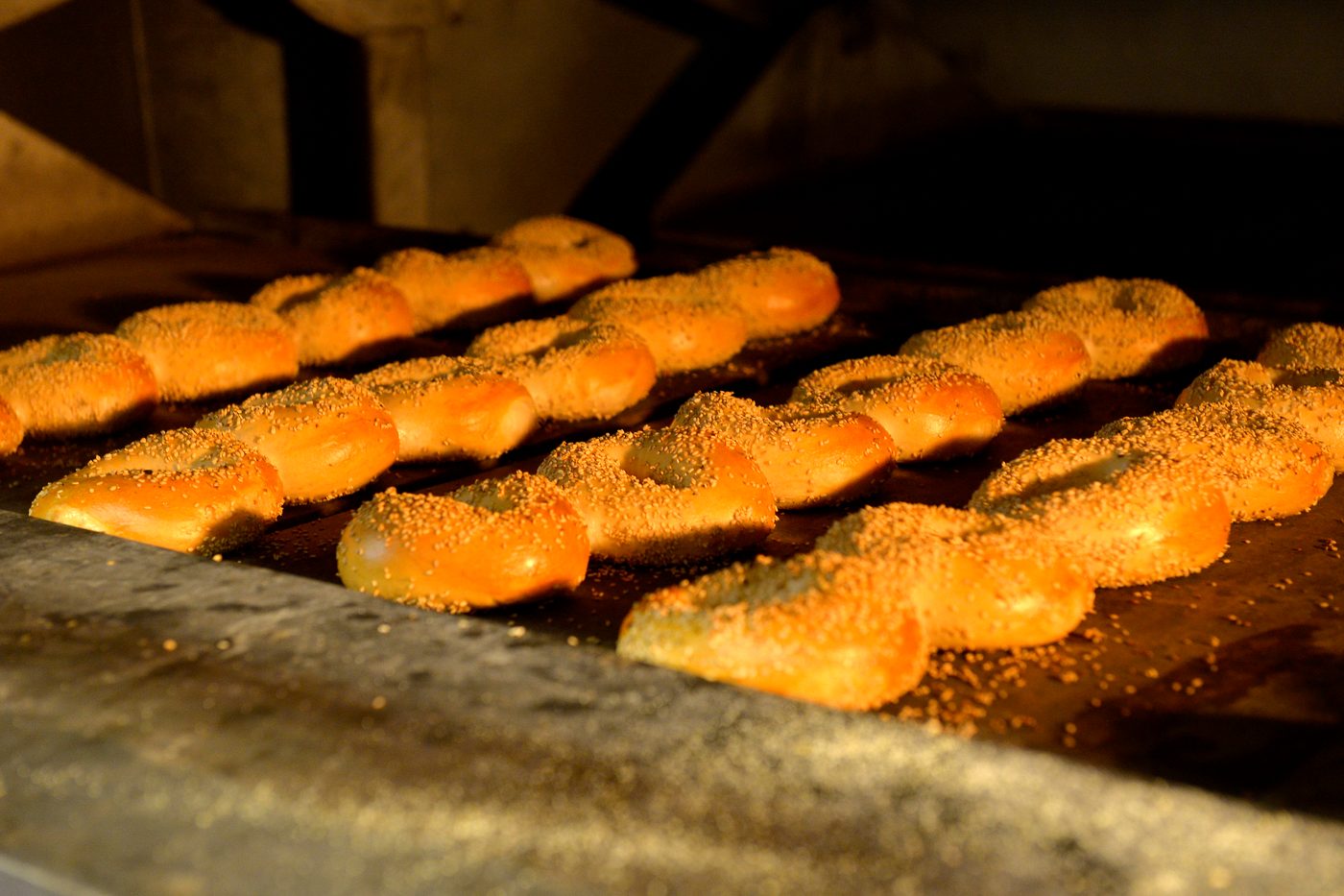 Sesame bagel stix fresh out of the oven
